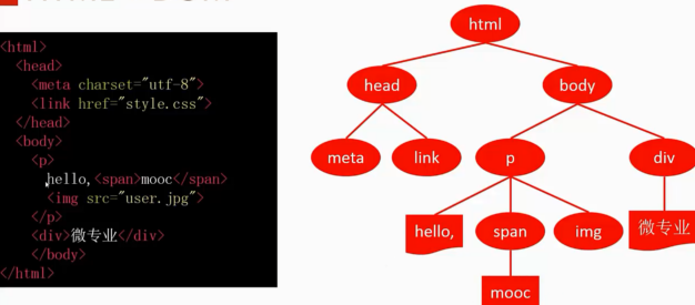 HTML 转为 DOM 树